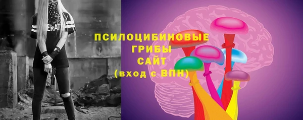 ALPHA-PVP Горнозаводск