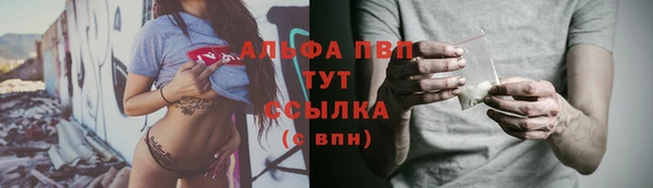сатива Волосово