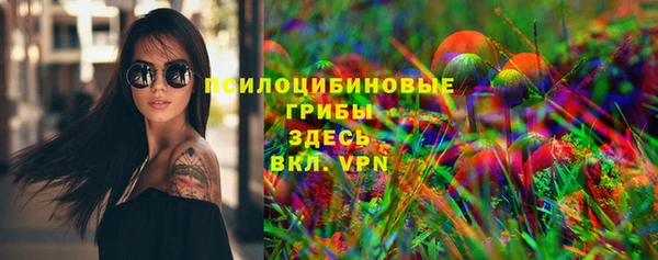 2c-b Вяземский