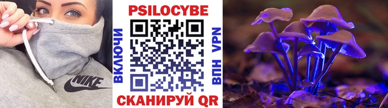 закладки  Заводоуковск  Псилоцибиновые грибы мухоморы 